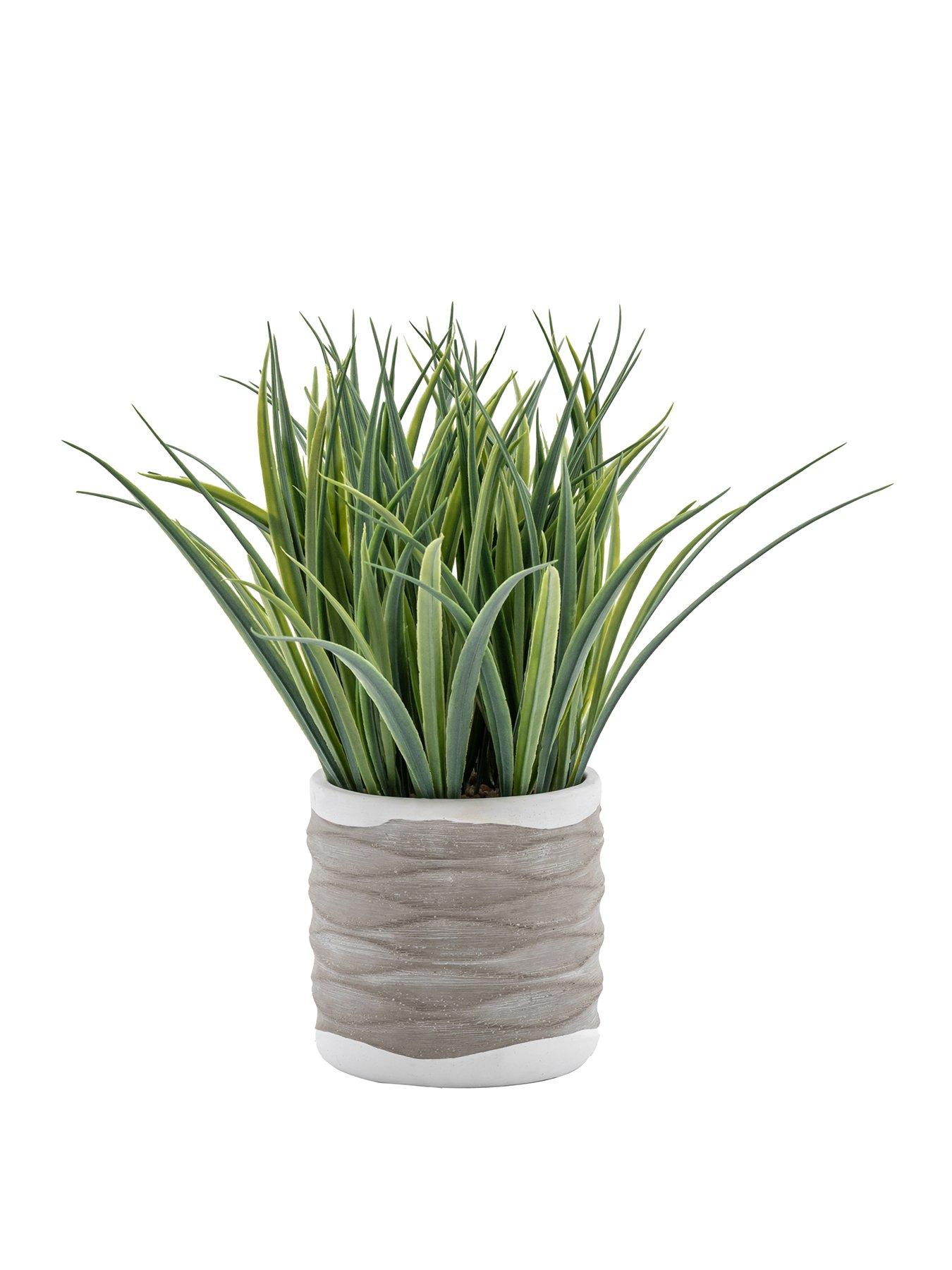 Product photograph of Gallery Grass In Wavy Pot - Medium from very.co.uk
