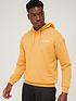  image of adidas-terrex-mens-logo-hoodie-yellow
