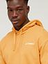  image of adidas-terrex-mens-logo-hoodie-yellow