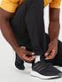  image of adidas-terrex-mens-lifeflext-pants-black