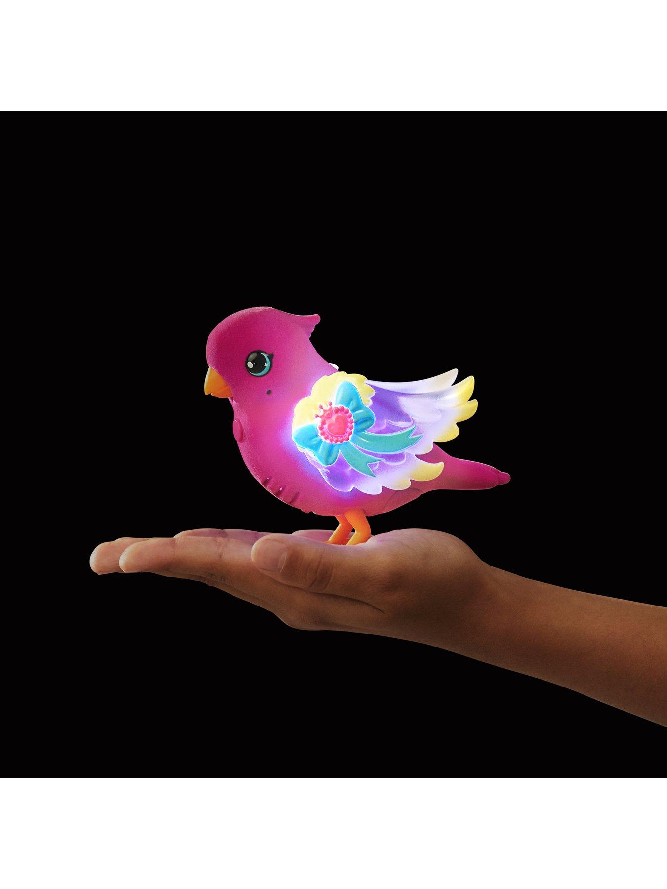 Live 2025 pets bird