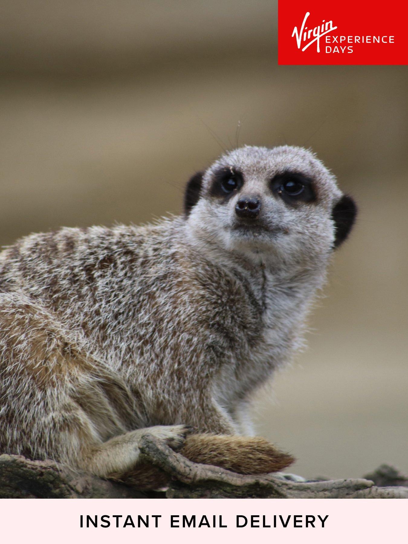 Virgin Experience Days Meet And Feed The Meerkats For Two At Millets Falconry Centre, Oxfordshire