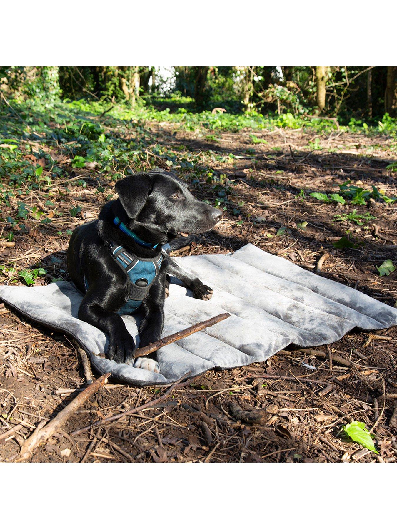 Scruffs expedition dog clearance bed