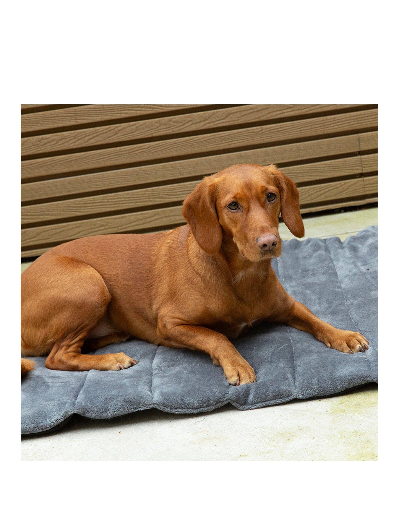 undefined Expedition Roll Up Travel Pet Bed