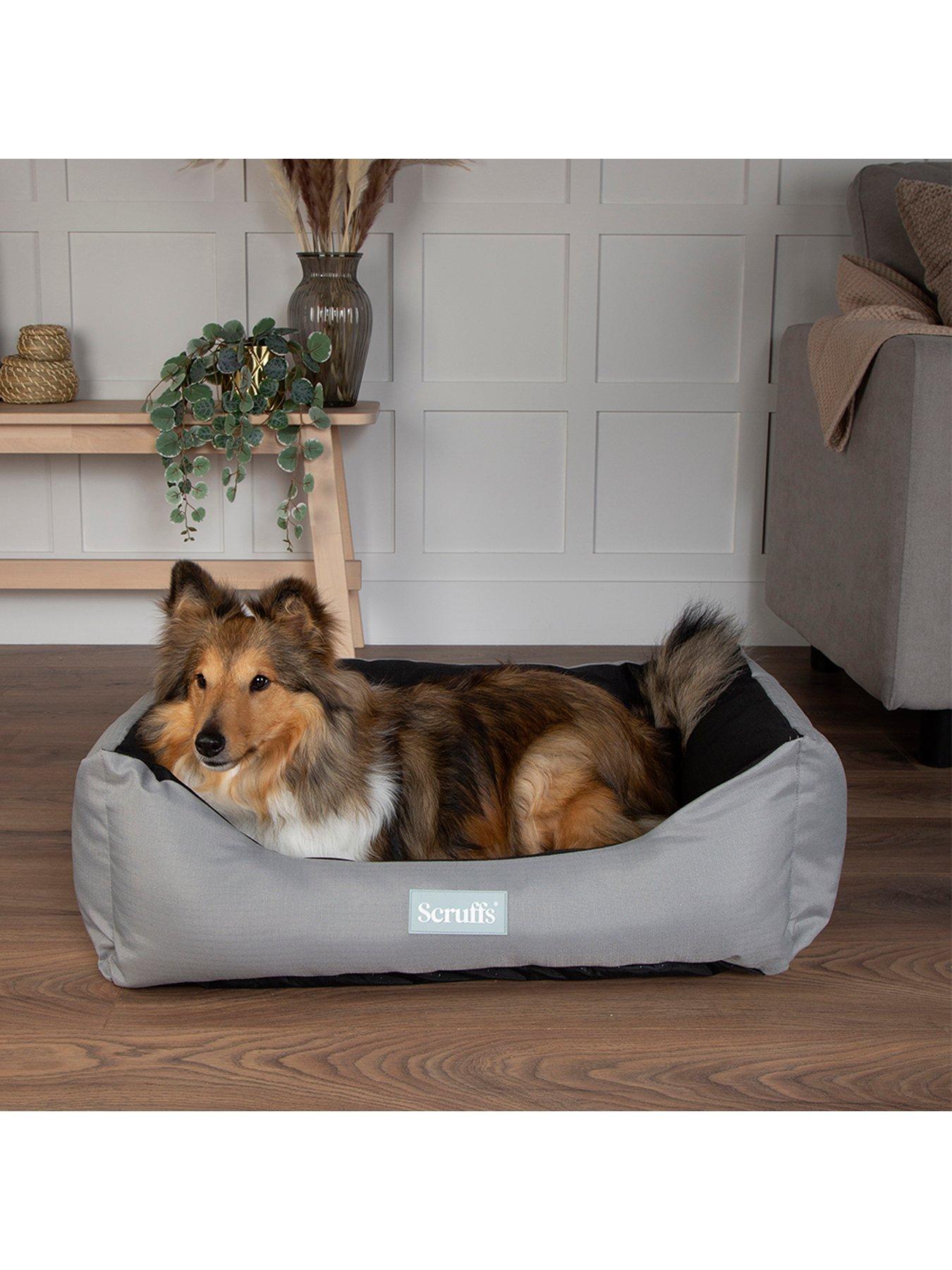 Scruffs dog beds store uk