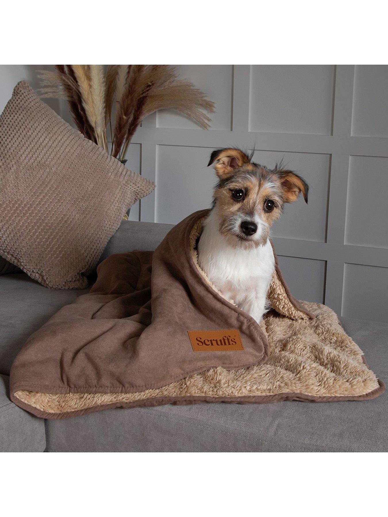 Scruffs pet hot sale blanket