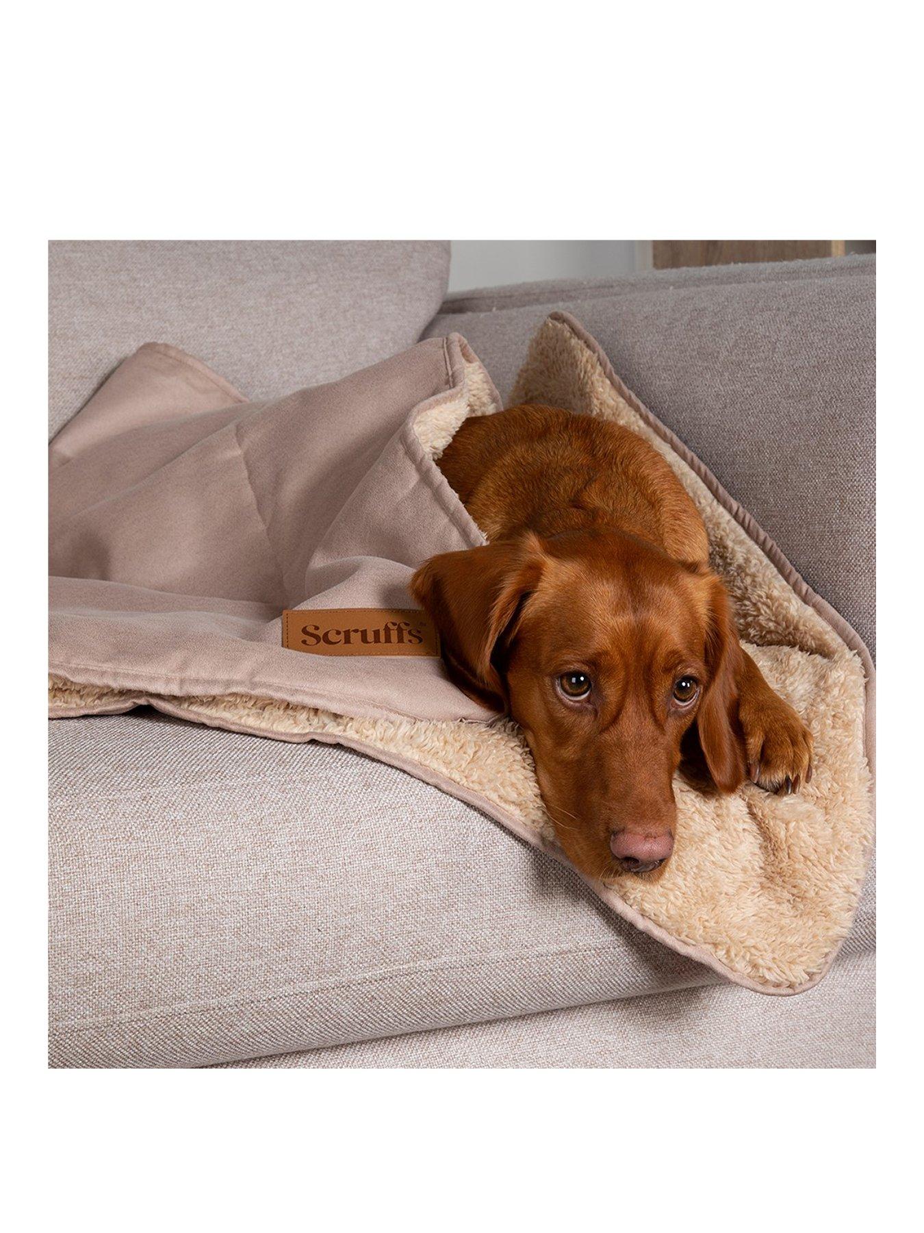 Image 2 of 7 of Scruffs Snuggle Blanket