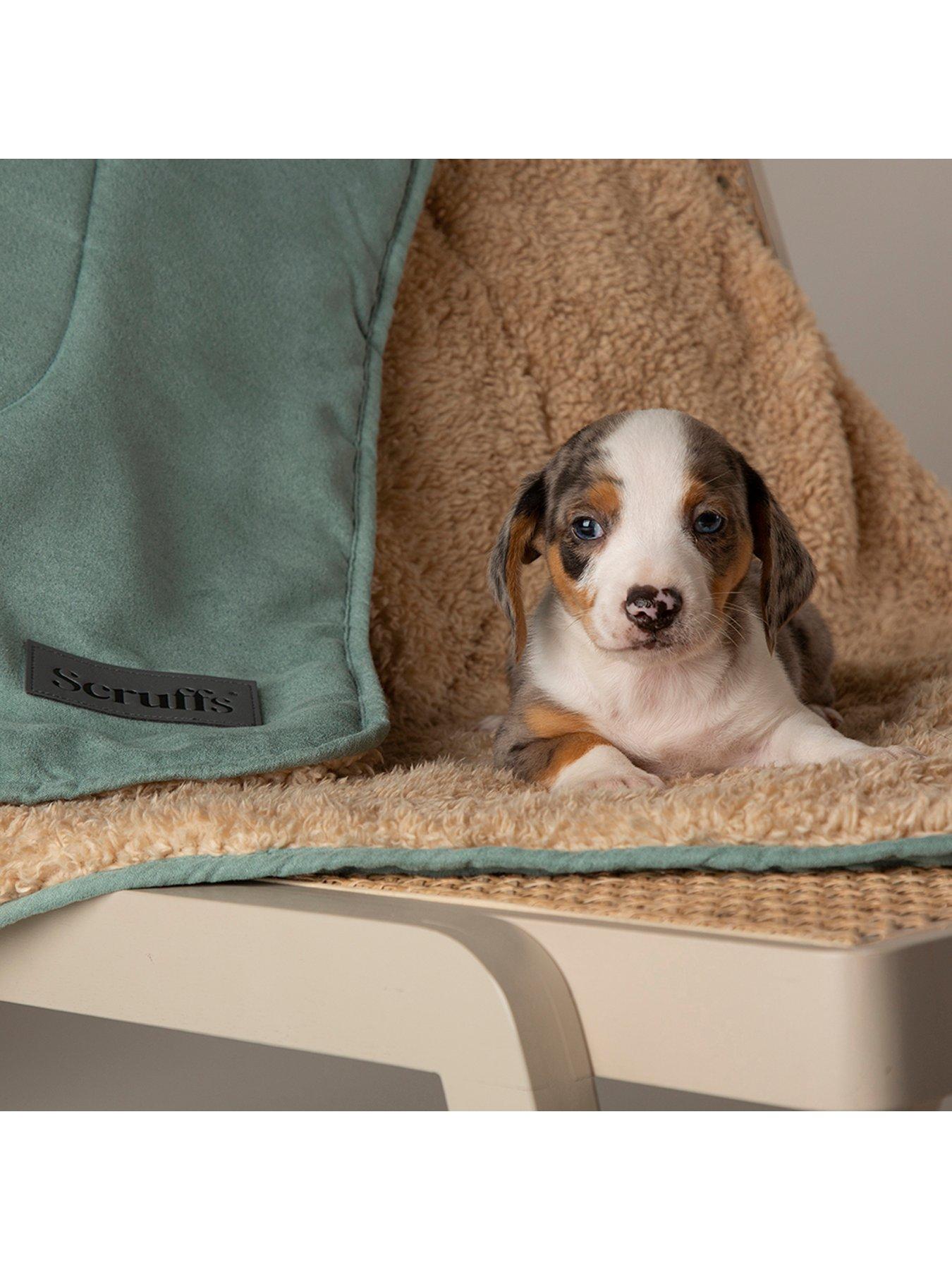 undefined Snuggle Blanket