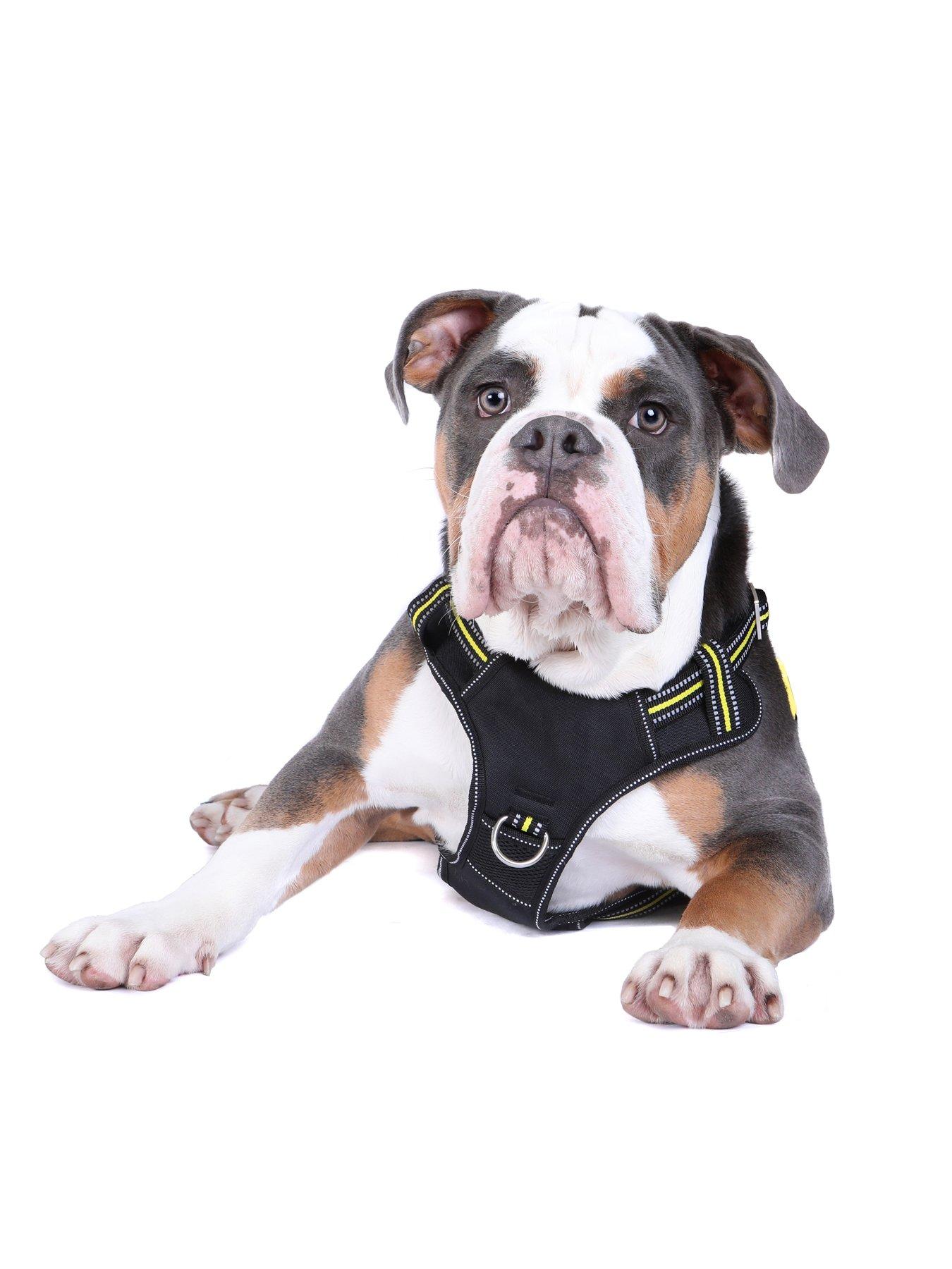 Liverpool dog outlet harness