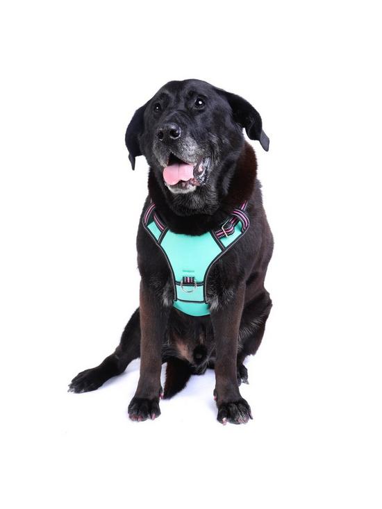 front image of doog-neotech-harness-rin-tin-tin