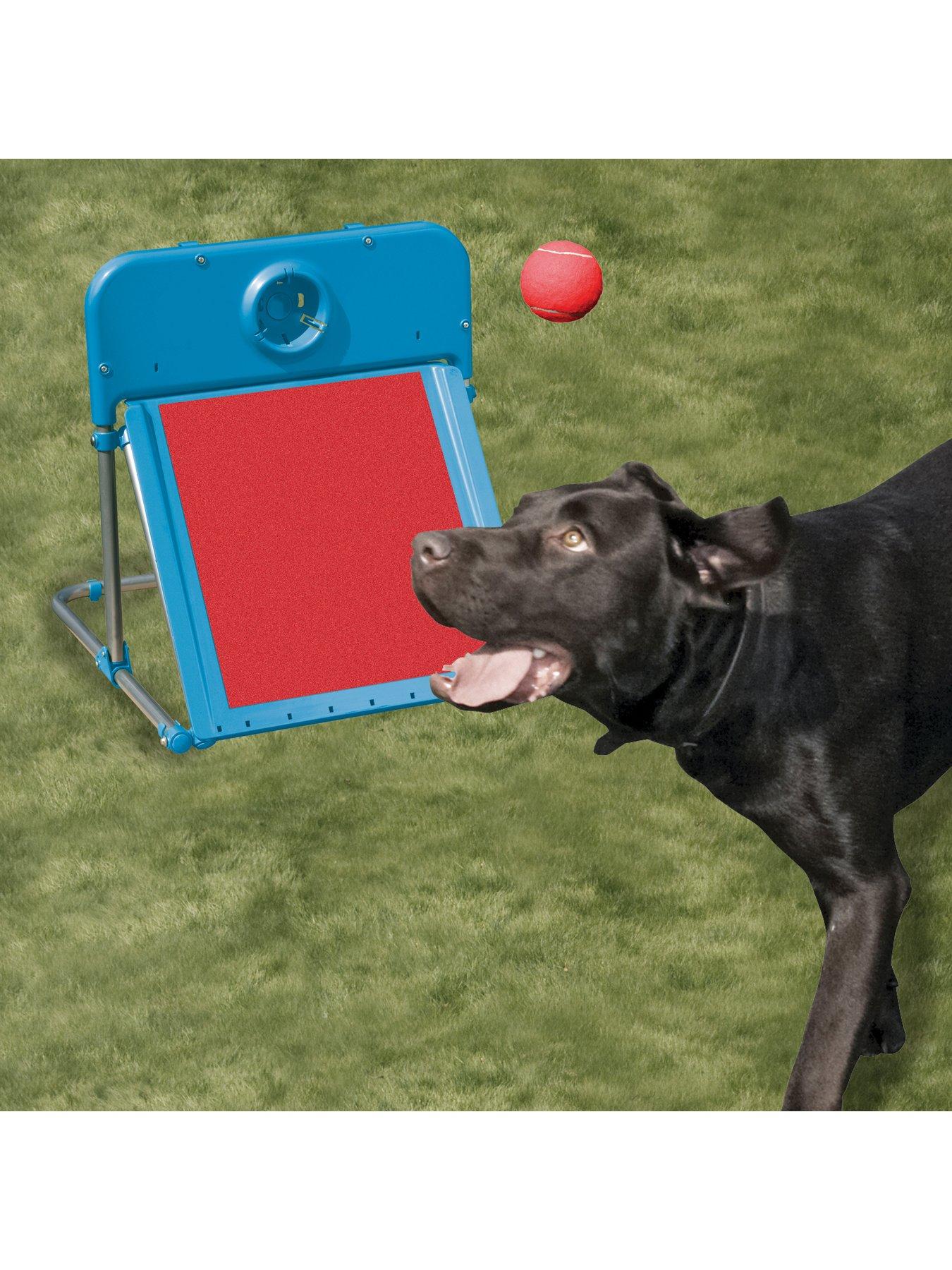 Product photograph of Rosewood Agility Flyball from very.co.uk
