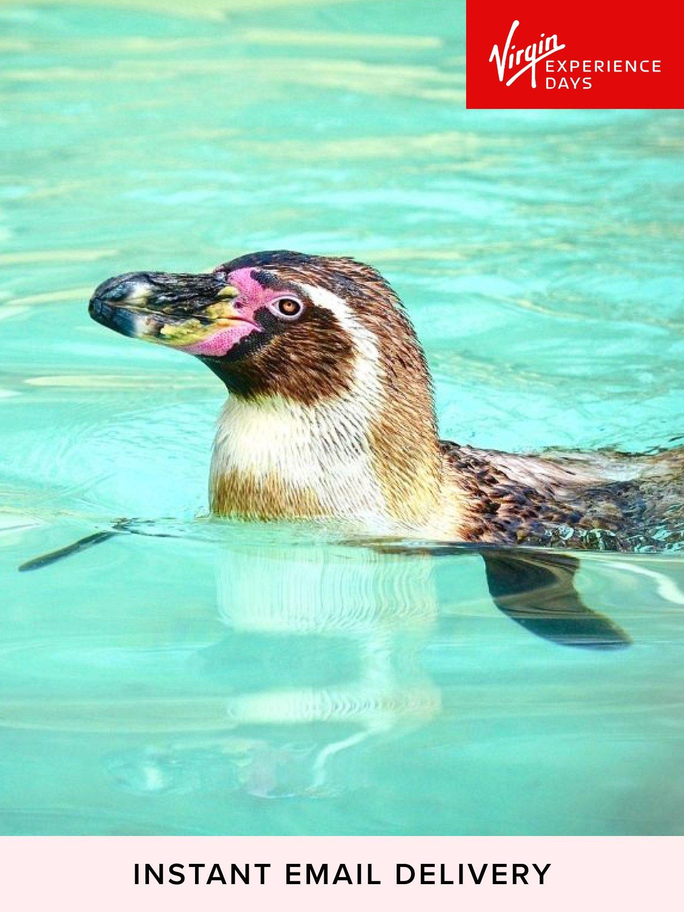 Virgin Experience Days Digital Voucher Penguin Feeding Experience for 2