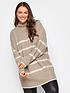  image of yours-high-neck-stripe-jumper-neutral