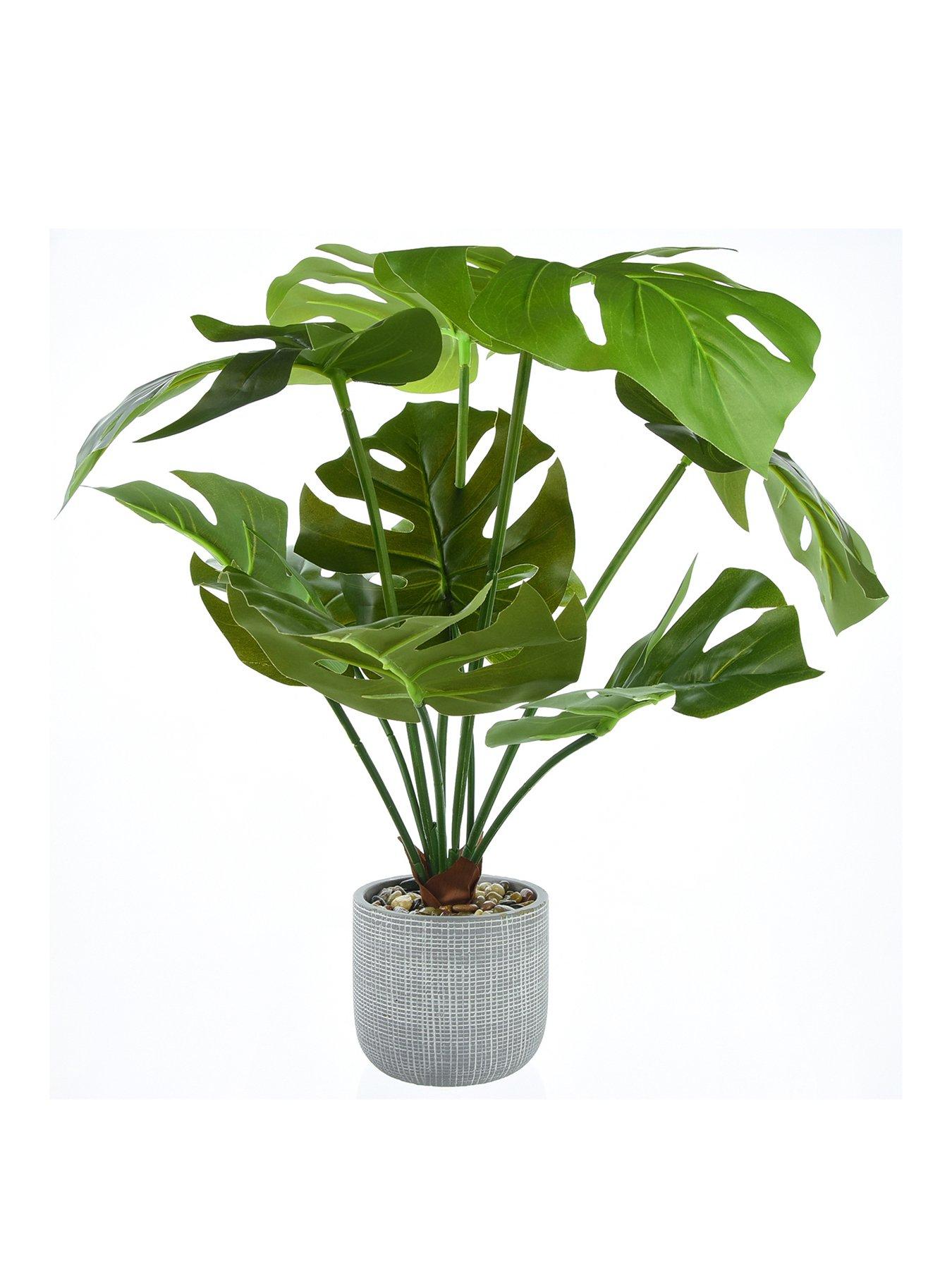Very Home Large Faux Cheese Plant in Round Planter Very.co.uk