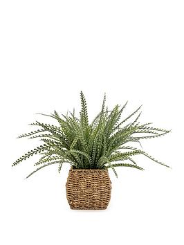 Product photograph of Very Home Faux Green Ferns In Seagrass Basket from very.co.uk