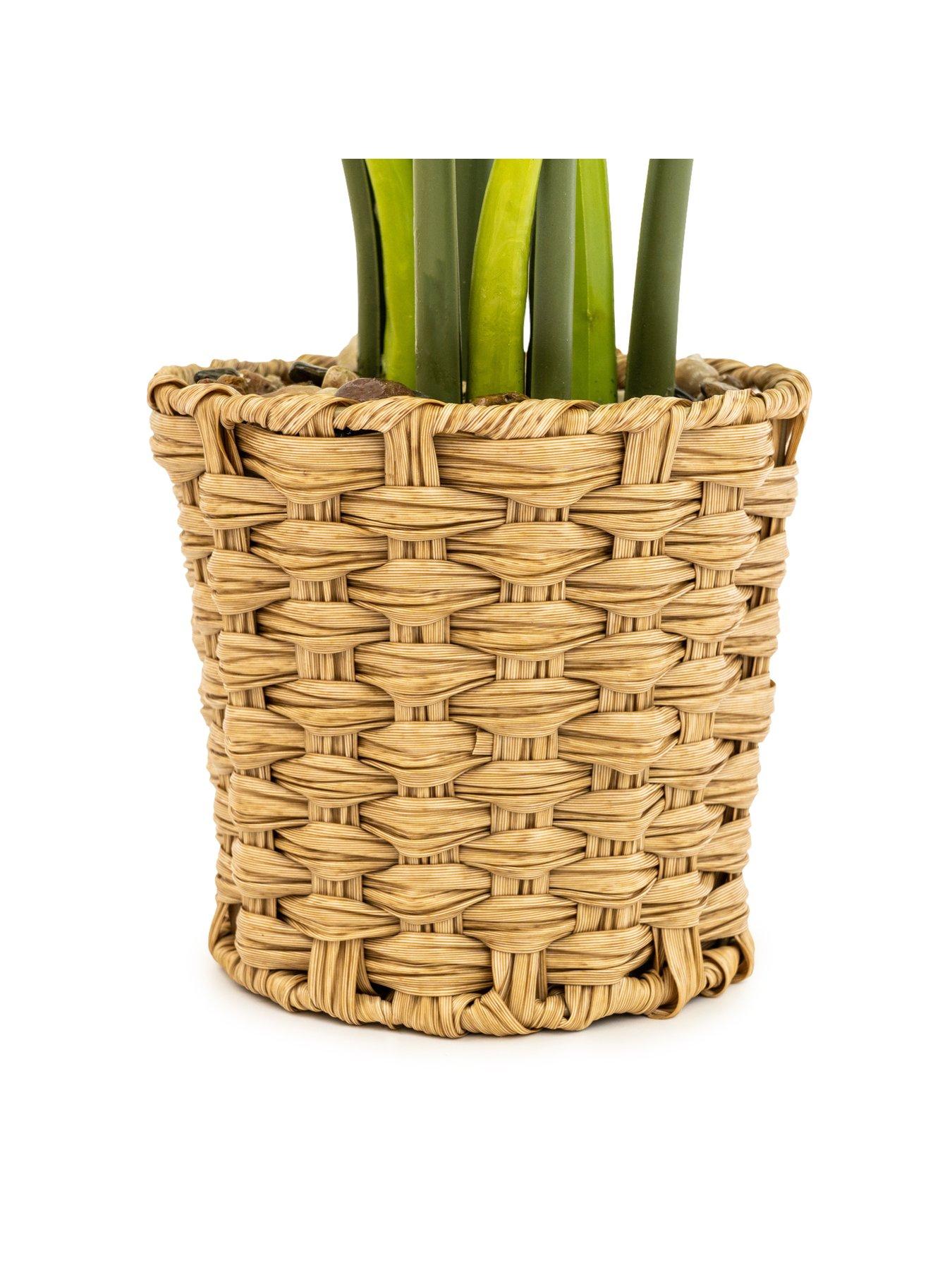 Very Home Faux Cheese Plant in Wicker Pot very.co.uk