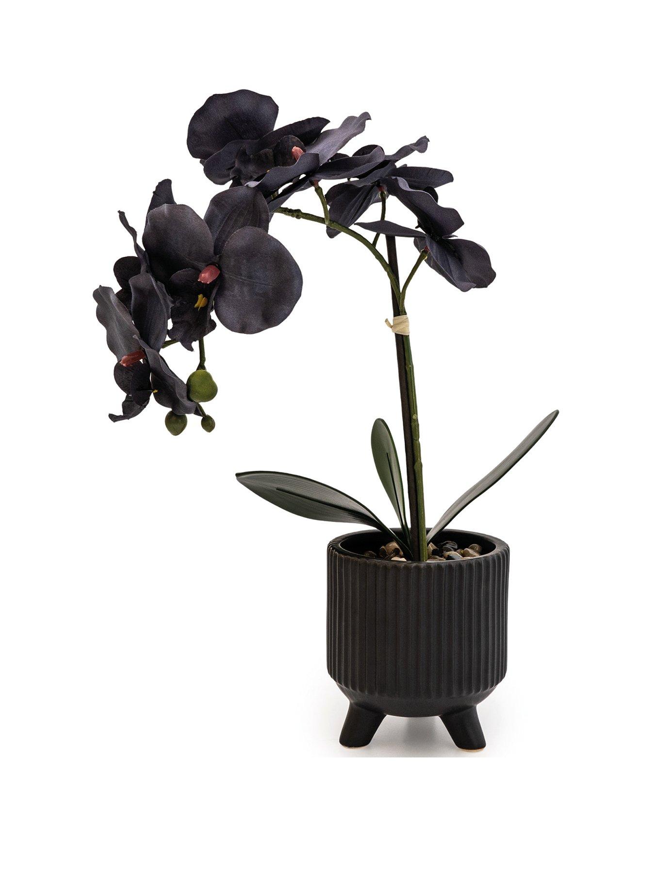 Product photograph of Very Home Faux Orchid In Ceramic Planter from very.co.uk