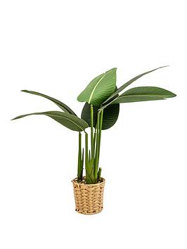 Product photograph of Very Home Faux Strelitzia Plant In Wicker Pot from very.co.uk