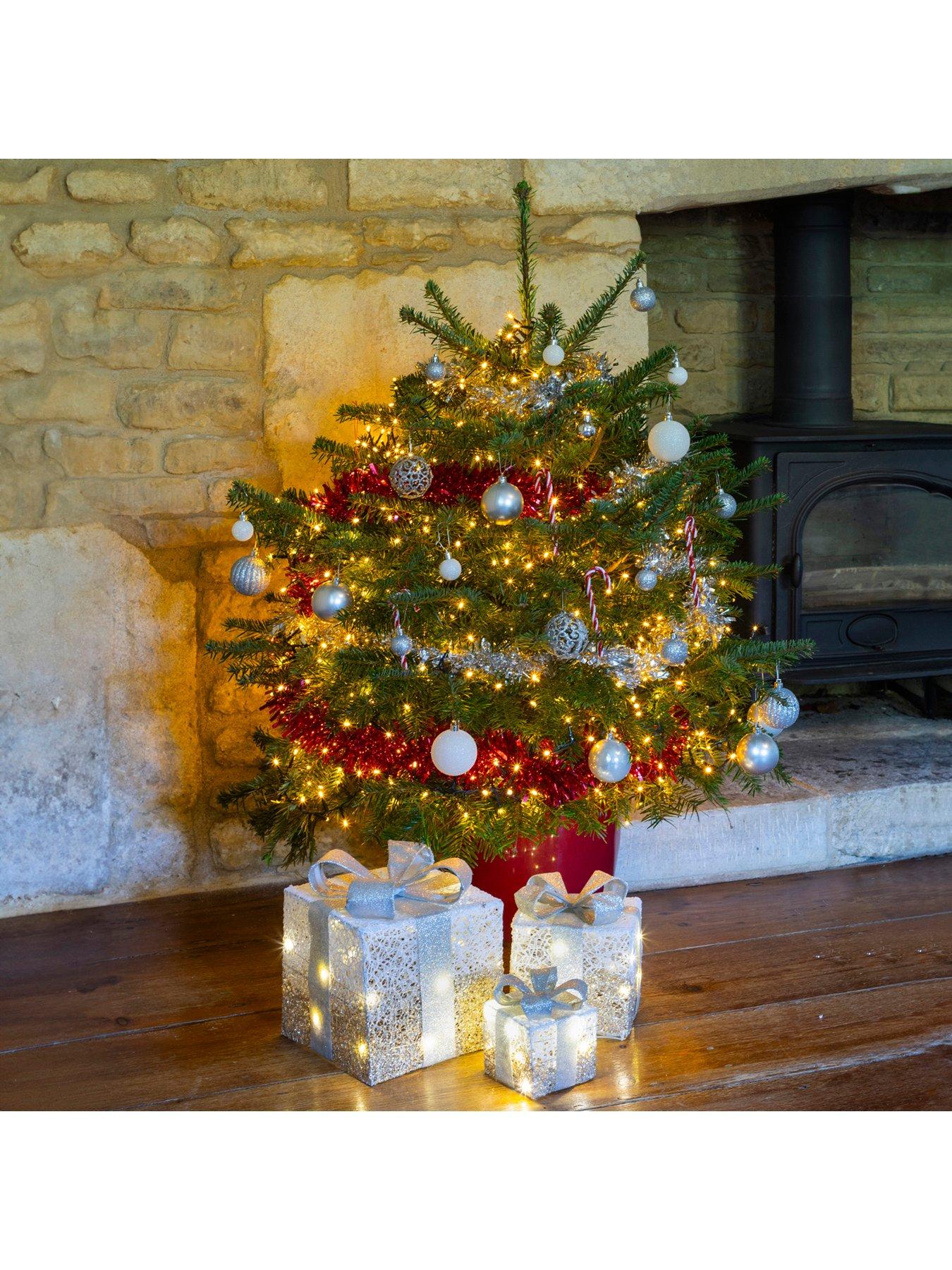 You Garden Pot-Grown Nordmann Fir Christmas Tree (100 -120cm)