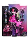 Image thumbnail 7 of 7 of Monster High Draculaura Fashion Doll &amp; Accessories