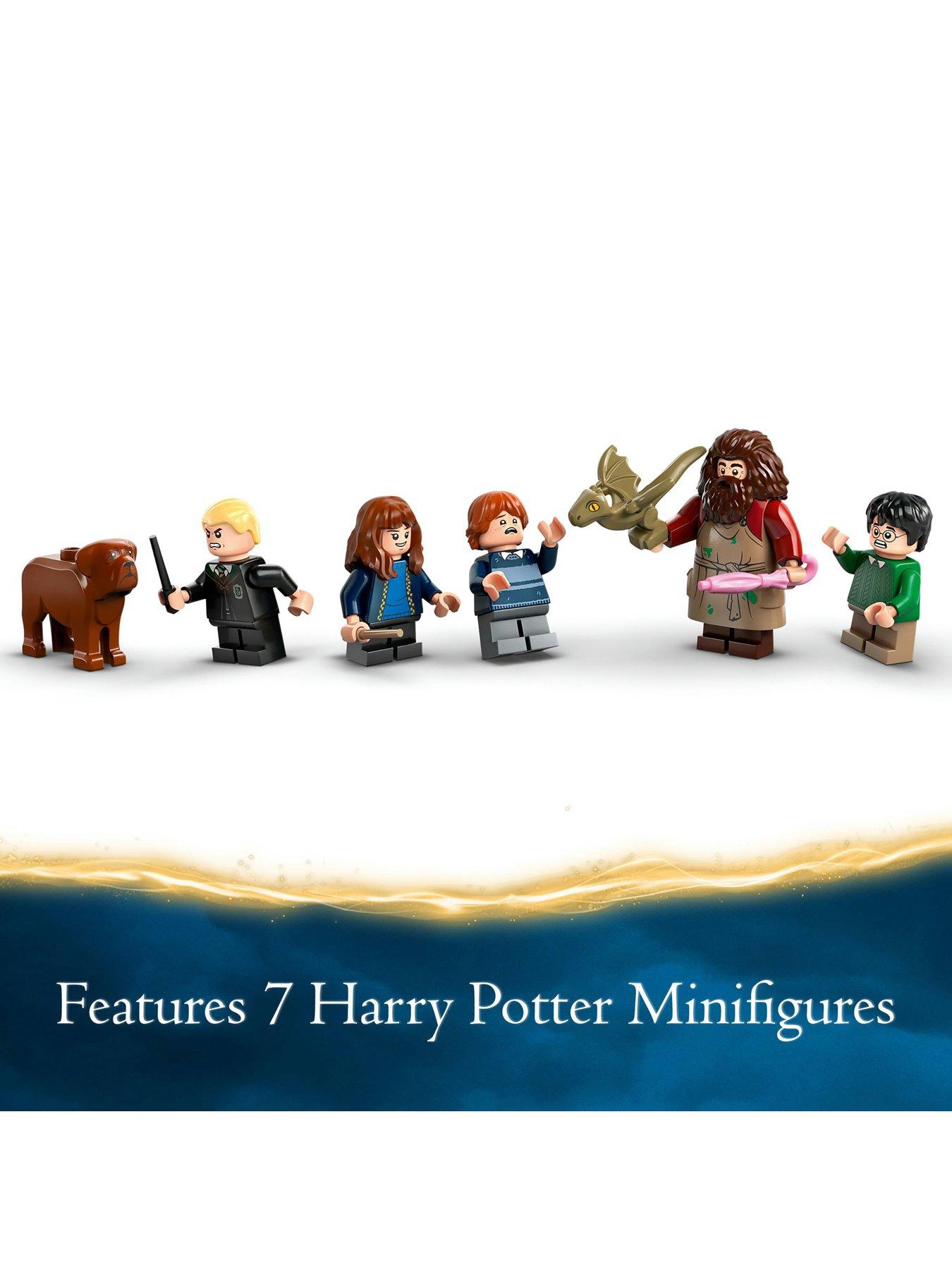 Image 6 of 8 of LEGO Harry Potter Hagrid&rsquo;s Hut: An Unexpected Visit 76428
