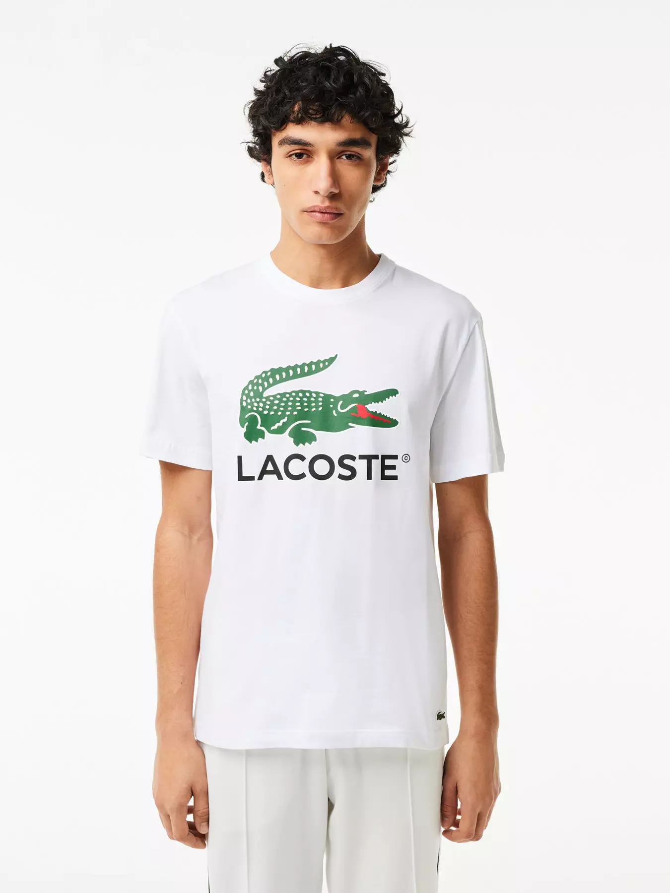 Men's Lacoste T-Shirts & Polo Shirts, Shop Lacoste