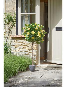 Product photograph of Smart Garden Regents Rose Yellow Standard Tree from very.co.uk