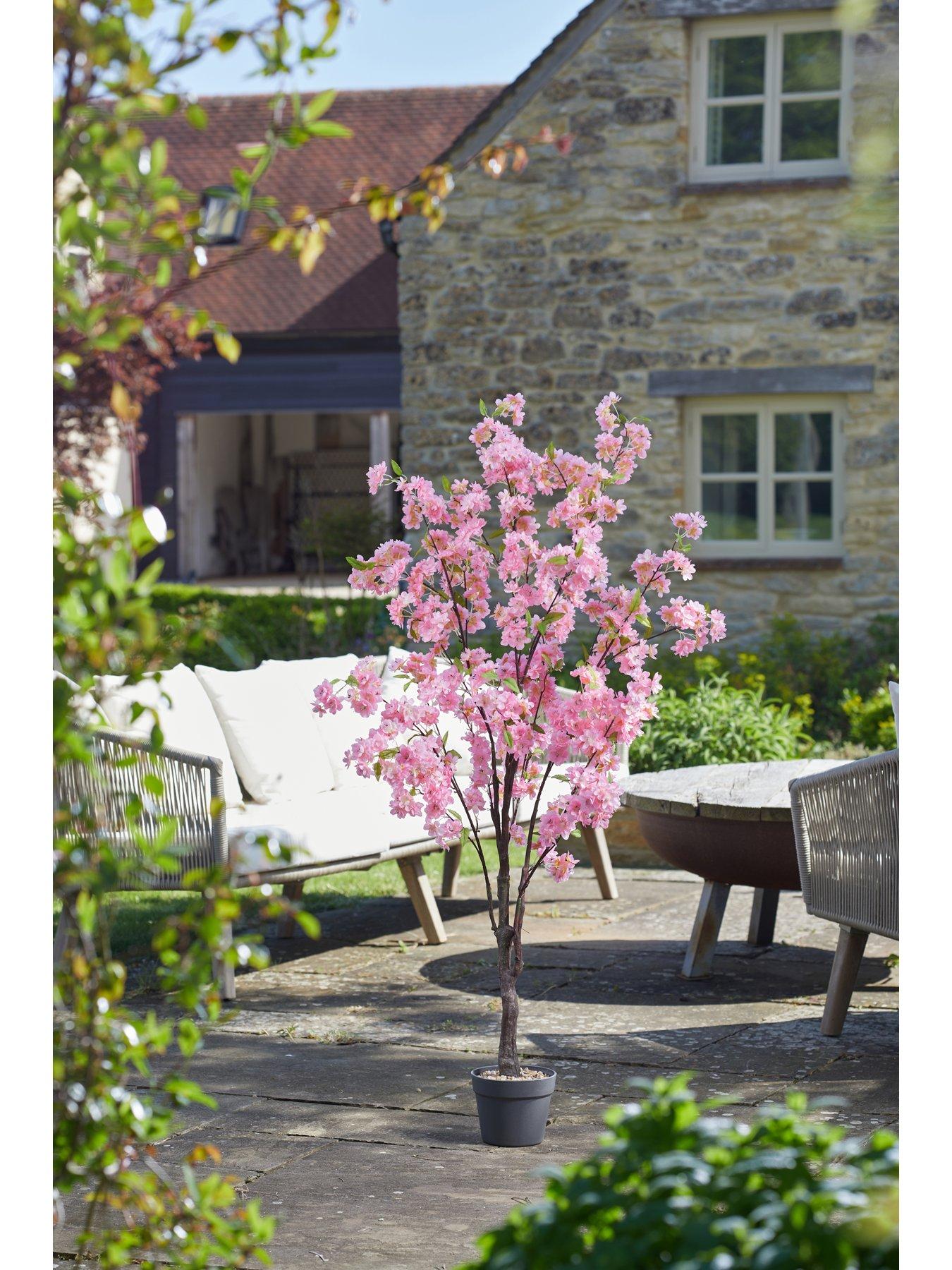 Image 1 of 3 of Smart Garden Pink Cherry Tree