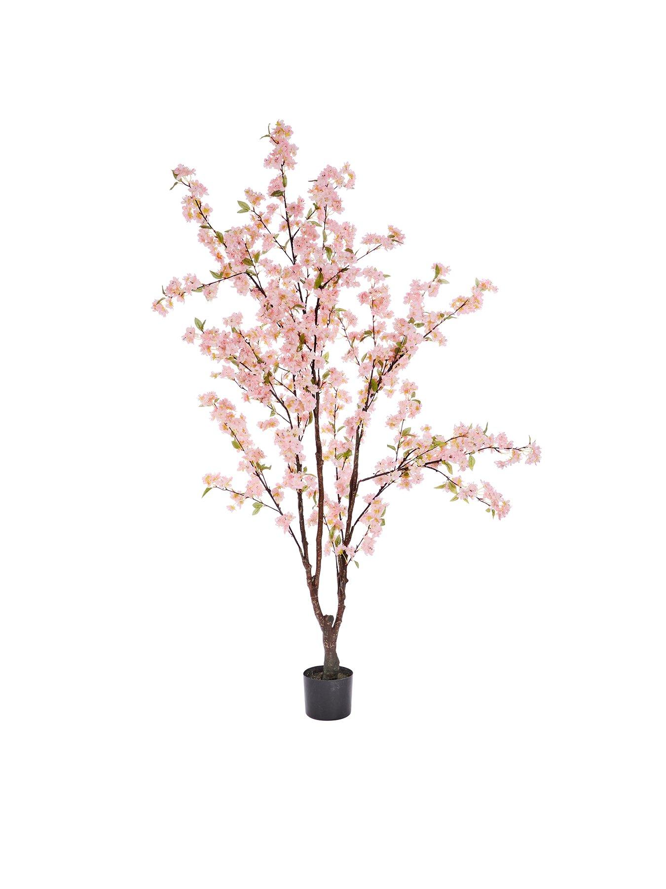 Image 3 of 3 of Smart Garden Pink Cherry Tree