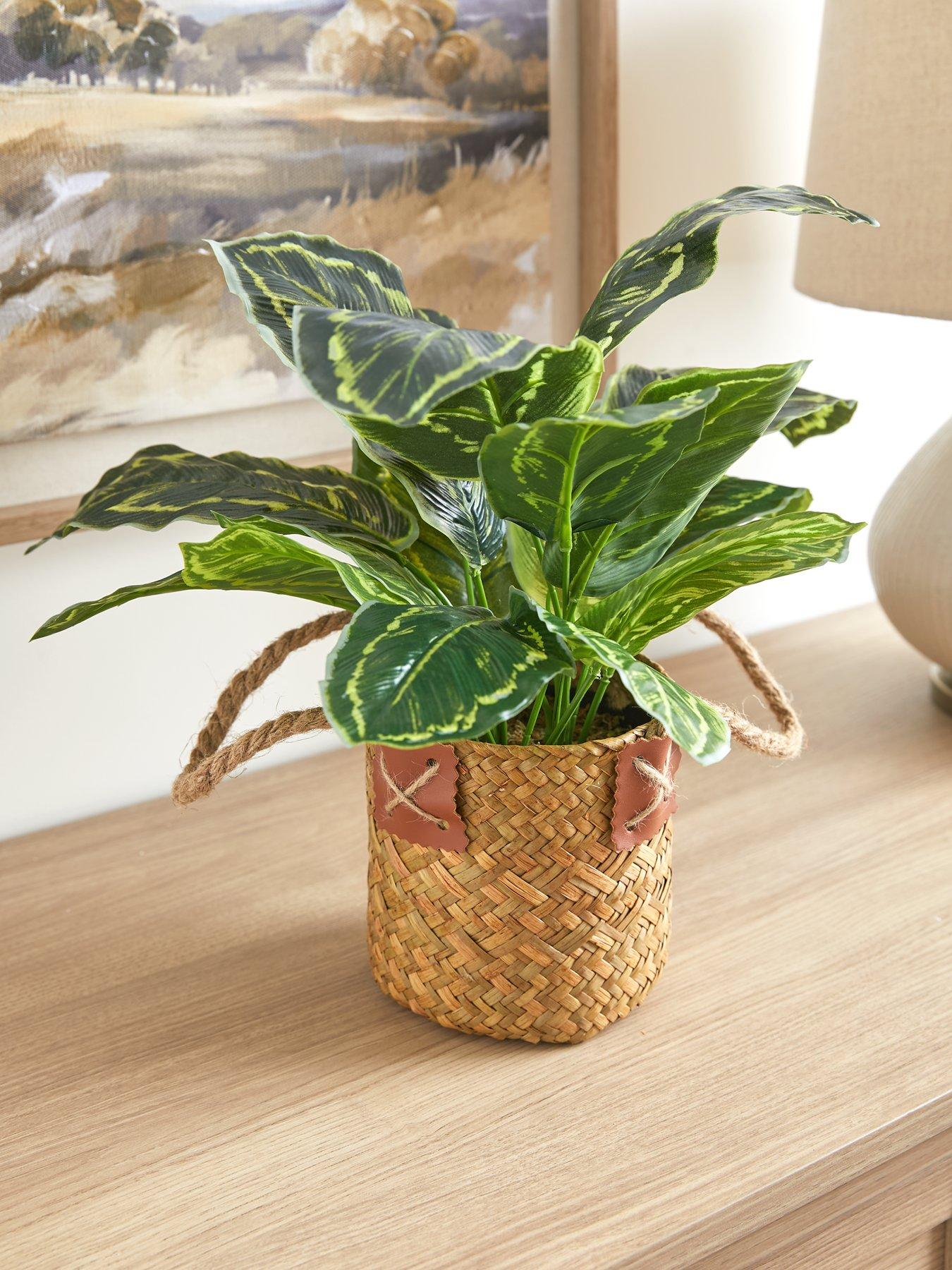 Product photograph of Very Home Faux Plant In Rattan Basket from very.co.uk