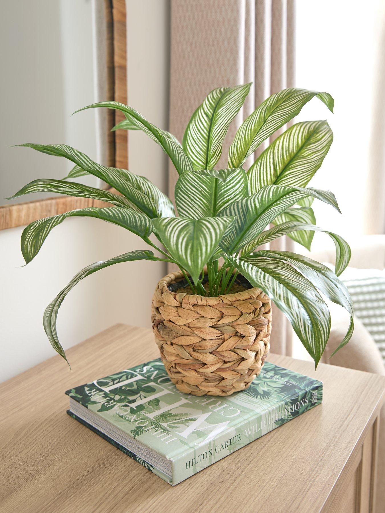 Product photograph of Very Home Faux Plant In Rattan Pot from very.co.uk