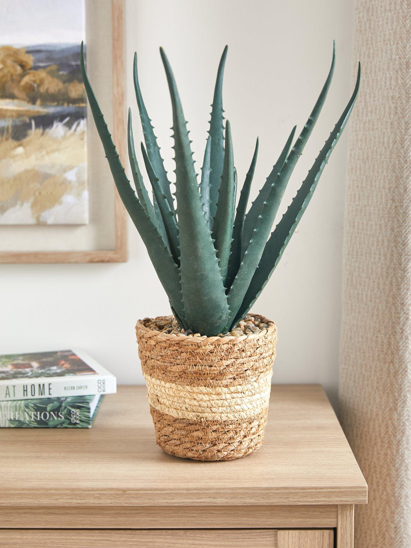 Product photograph of Very Home Faux Aloe Plant In Seagrass Basket from very.co.uk