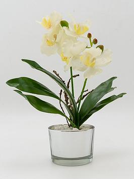 Product photograph of Very Home 26cm Orchid With Glass Pot Cream Silver from very.co.uk