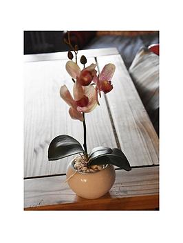 Product photograph of Very Home 28cm Orchid With Ceramic Pot Cream from very.co.uk