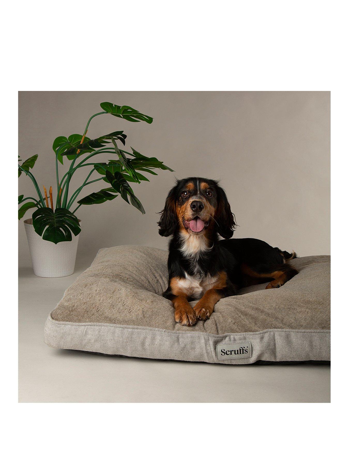 Product photograph of Scruffs Harvard Memory Foam Orthopaedic Mattress Large - Extra Large from very.co.uk