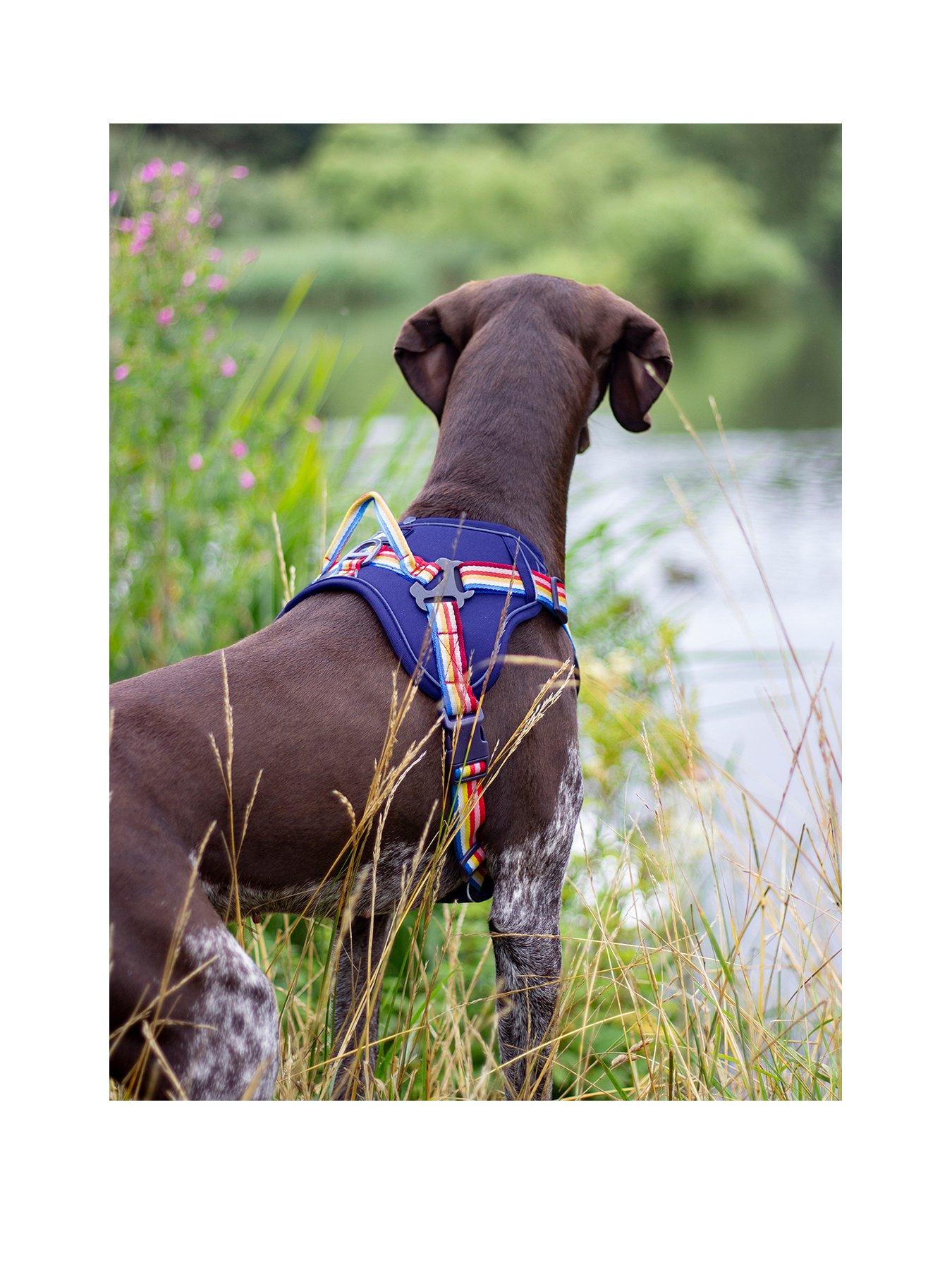 Joules hot sale dog harness