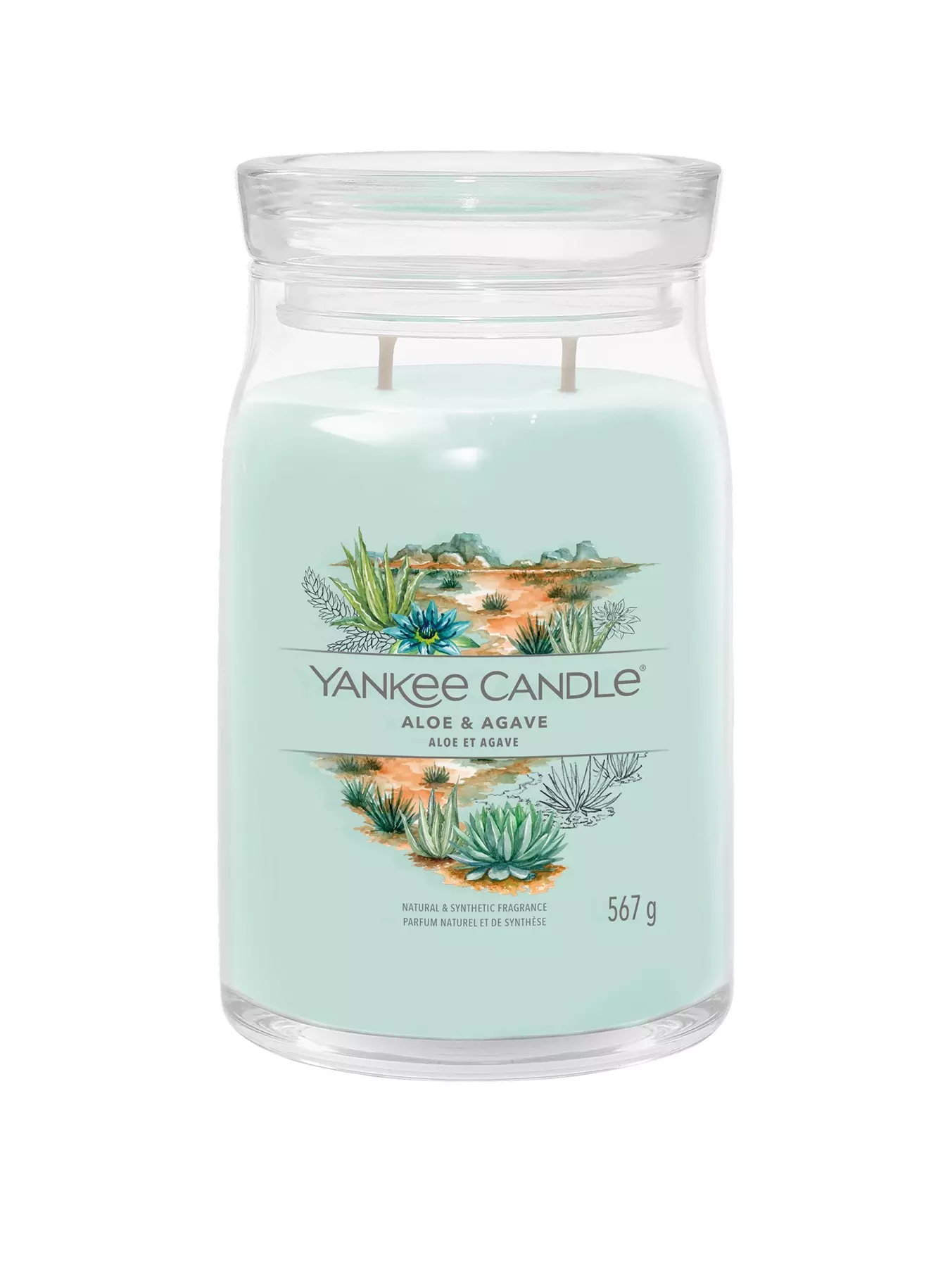 Yankee Candle Balsam & Cedar - 22 oz Large Modern Brushed Lid Tumbler  Candle: Holiday/Seasonal, Woody Scented, 2-wick Soy Wax Blend with 75 Hours  Burn