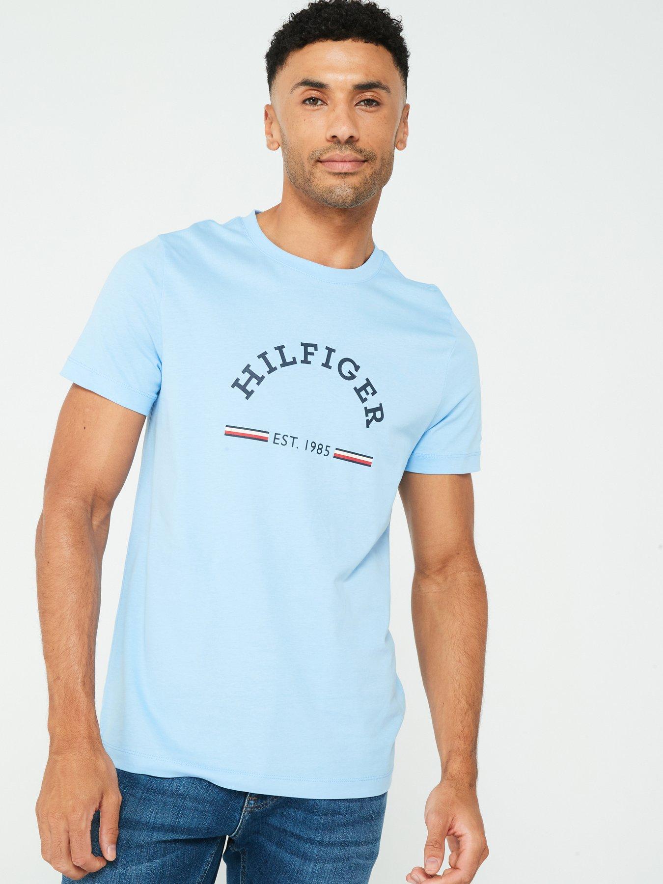 Tommy Hilfiger Arch Global Stripe Logo T-shirt - Light Blue | Very.co.uk