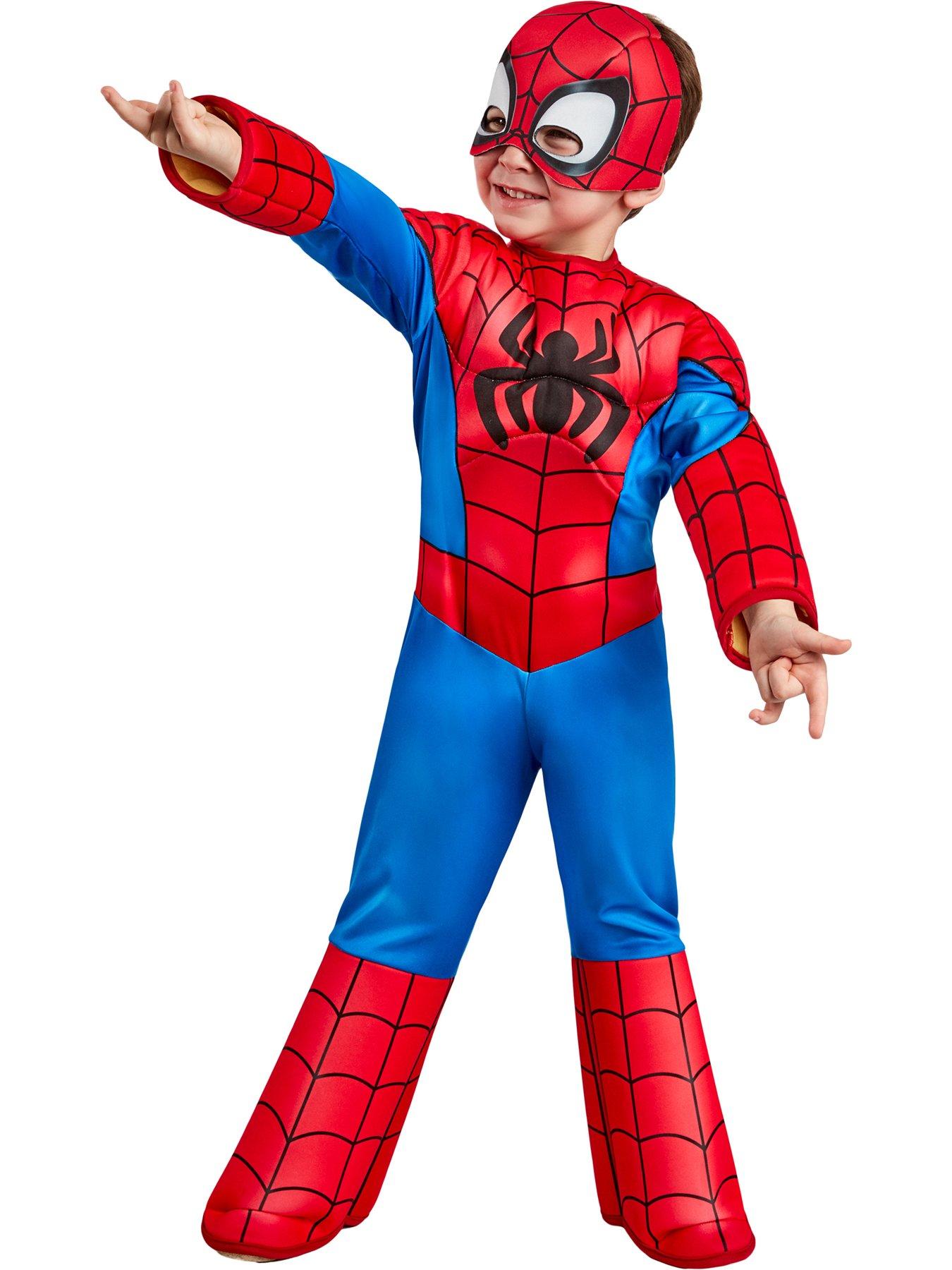 undefined Deluxe Spider-man Costume