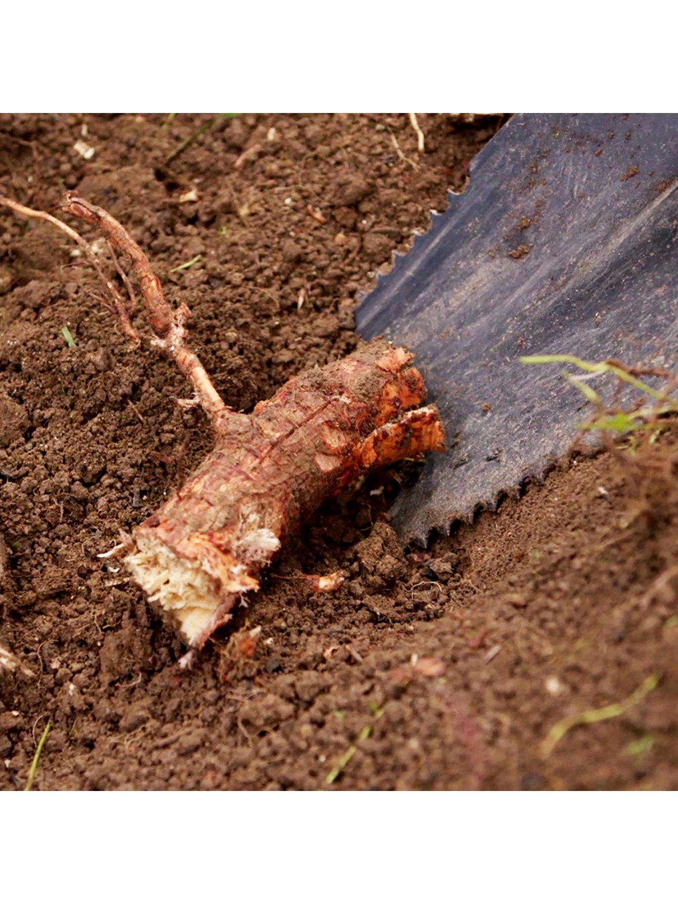 Image 3 of 3 of JML Rayzer Shovel