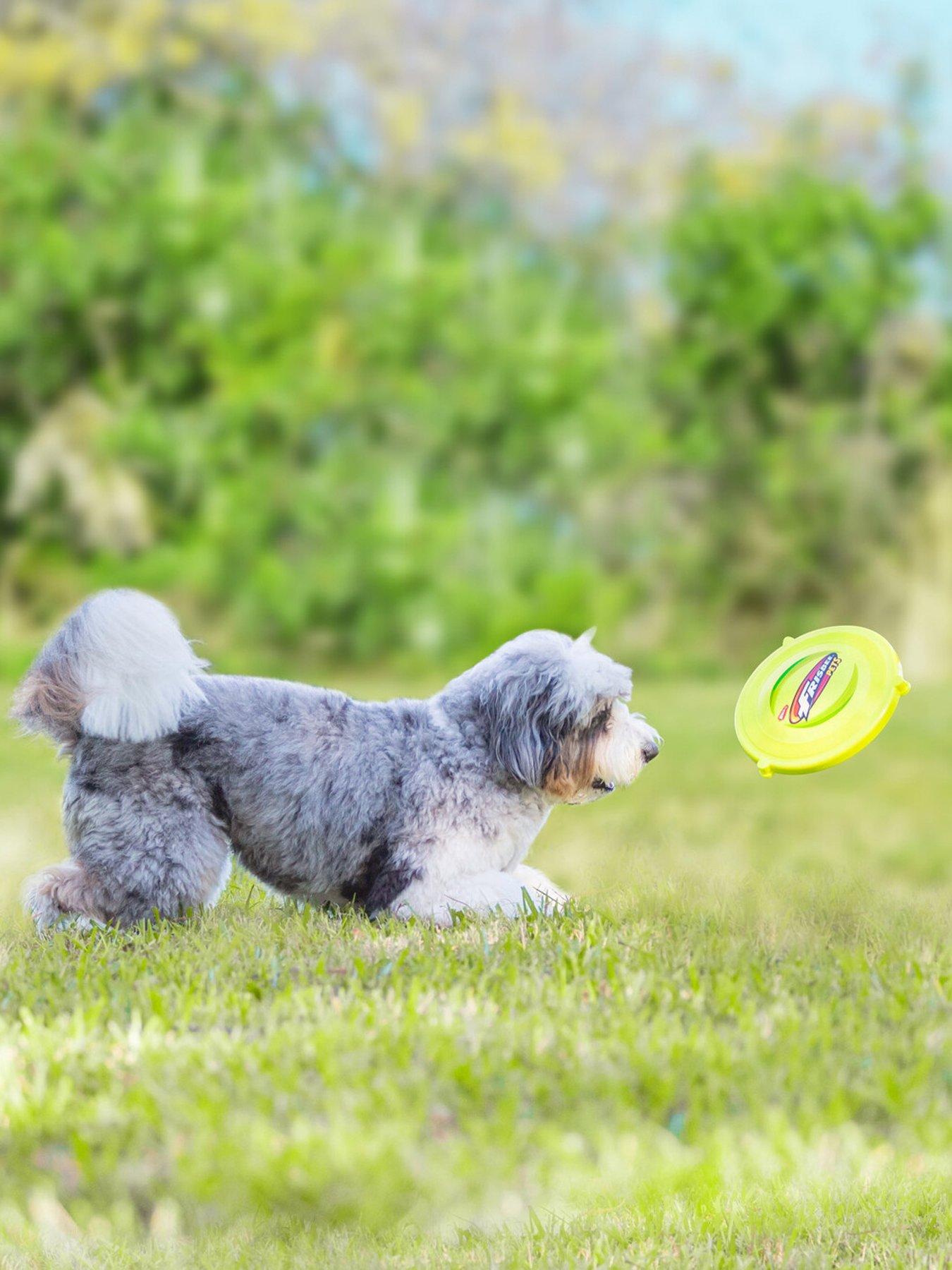 Image 3 of 5 of Wham-O Frisbee Whizzbee - The Original Fetch Flyer - Flying, Whistling, Floatable Disc Dog Toy