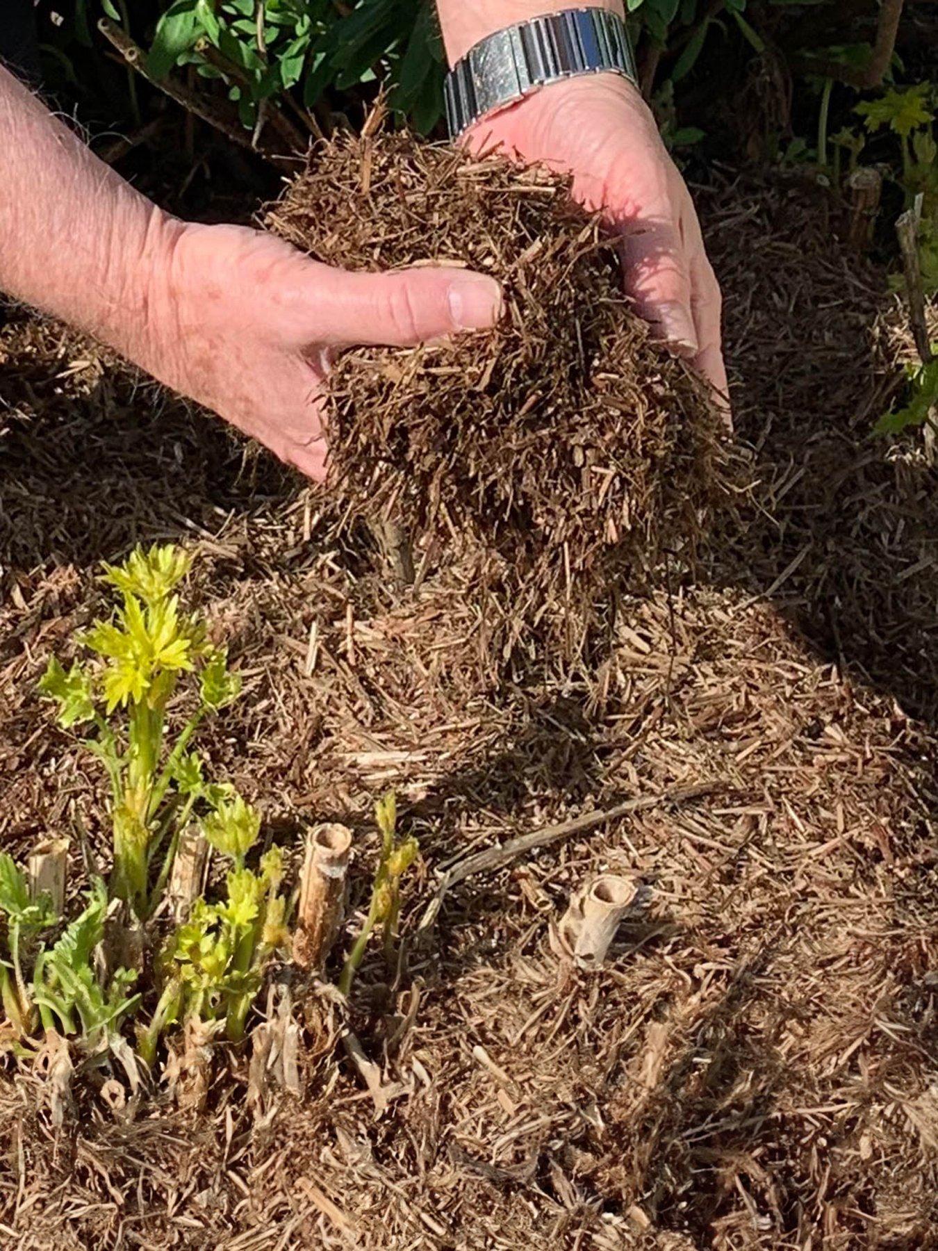 Product photograph of Strulch Mineralised Straw Garden Mulch 2 X 9kg Bags from very.co.uk