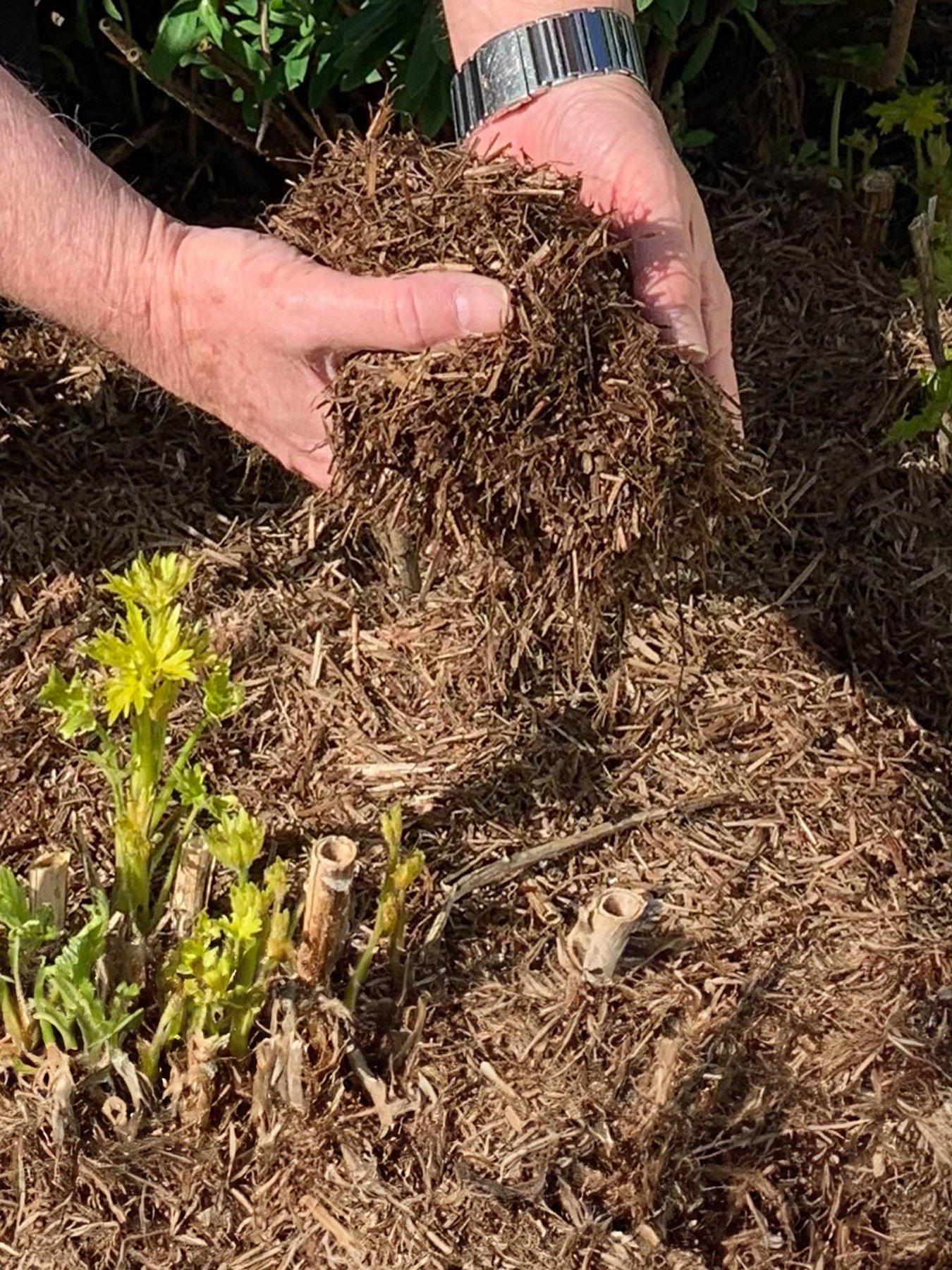 undefined Strulch Mineralised Straw Garden Mulch (2 x 9kg bags)