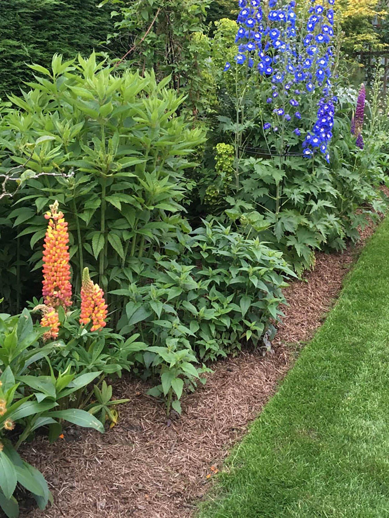 Strulch Mineralised Straw Garden Mulch (2 x 9kg bags) Very.co.uk
