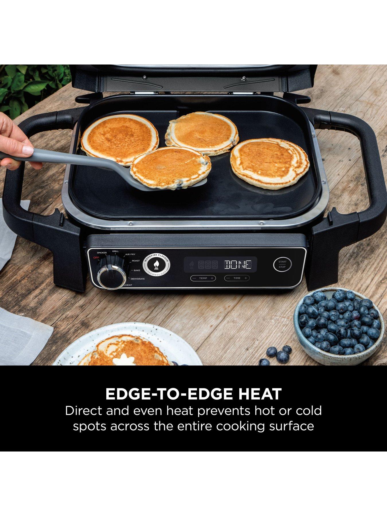 Image 3 of 7 of NINJA Woodfire Electric BBQ Flat Plate