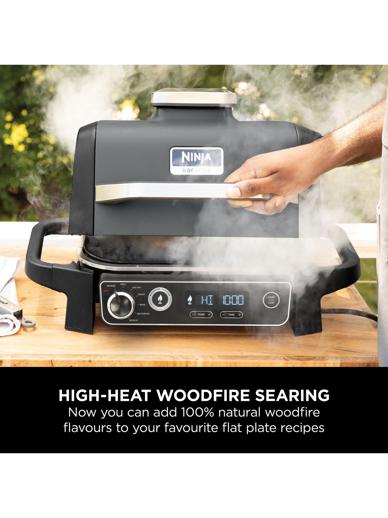 Image 5 of 7 of NINJA Woodfire Electric BBQ Flat Plate