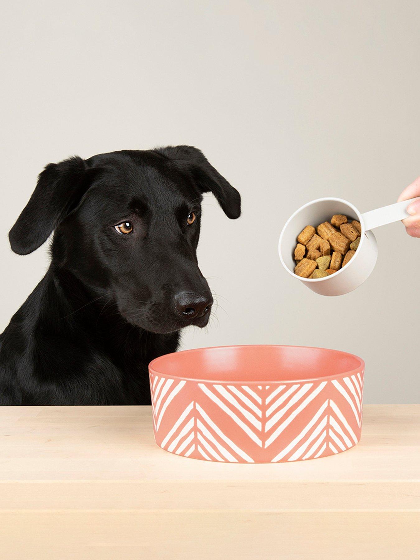 Product photograph of Scruffs Aztec 2pc Bowl Set - Terracotta 13cm from very.co.uk