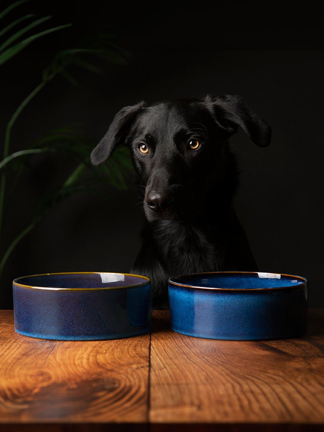 Product photograph of Scruffs Reactive 2-piece Bowl Set - Midnight Blue 19cm from very.co.uk