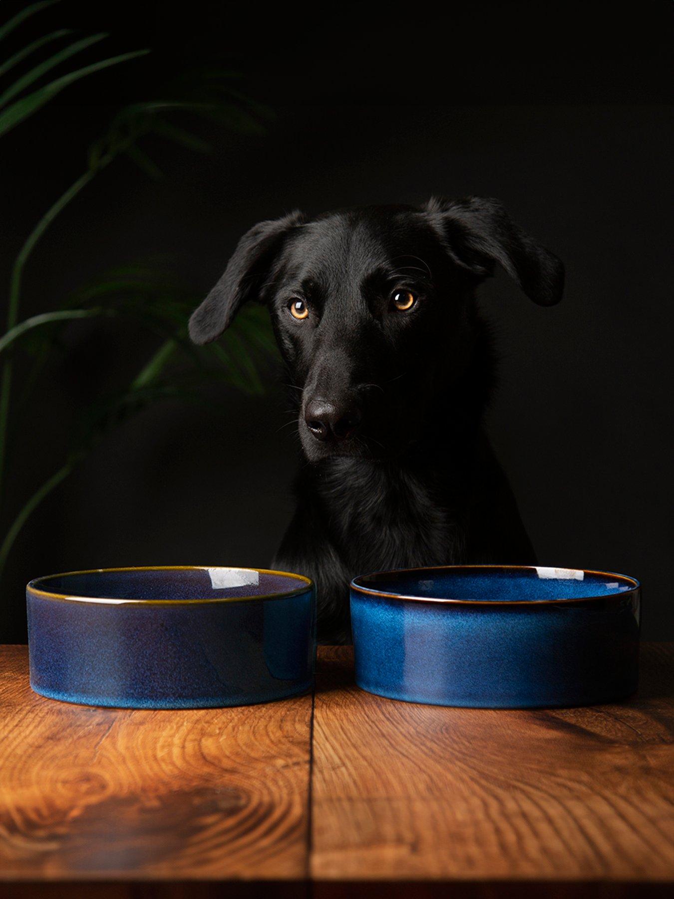 Scruffs Reactive 2-Piece Bowl Set - Midnight Blue 19cm