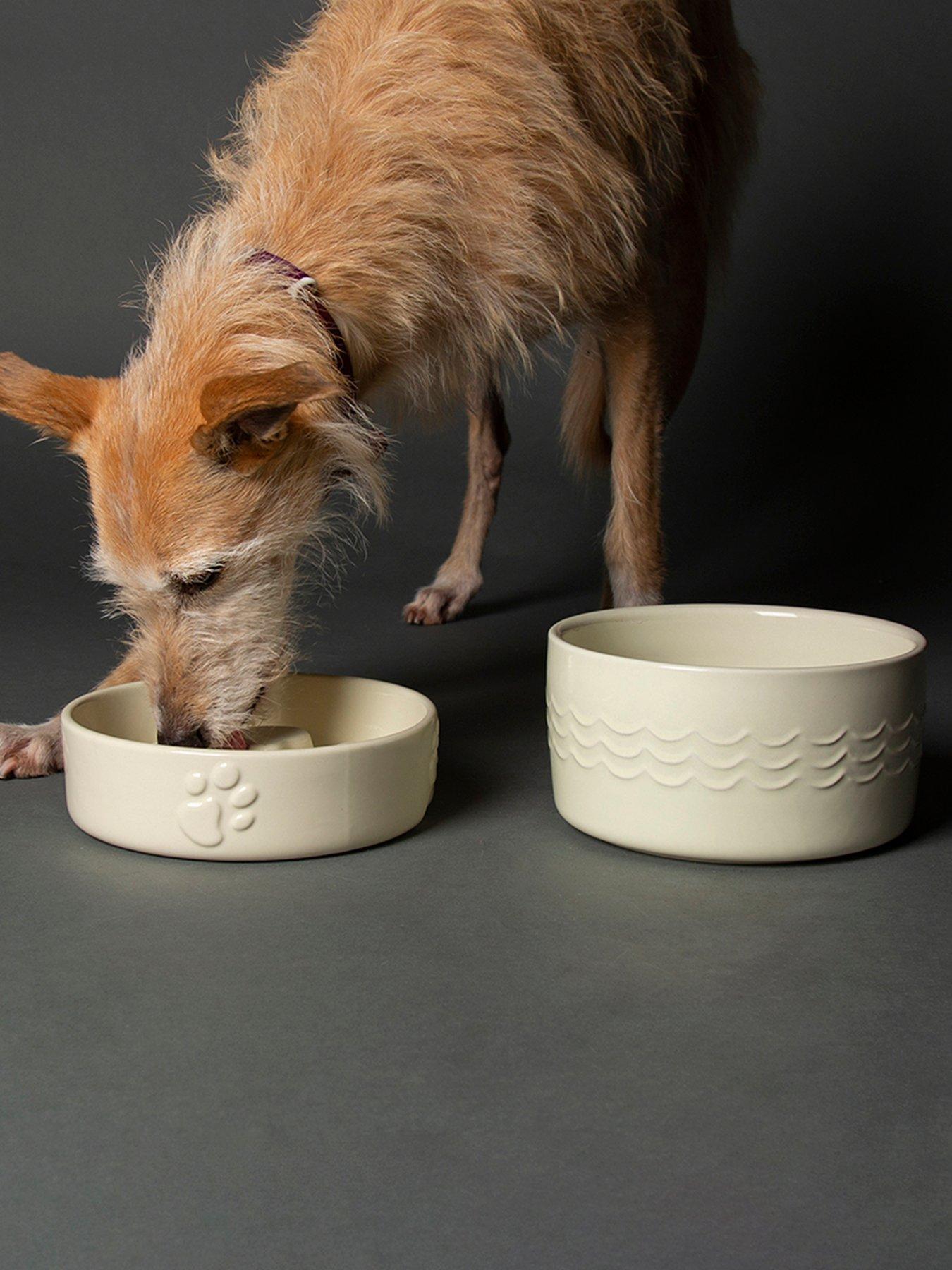 Product photograph of Scruffs Icon Slow Feeder Amp Drink Bowl Set - Cream 20cm from very.co.uk